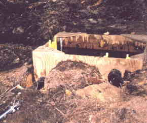 A small diversion intake. The creek flows just to the left of the wooden box.